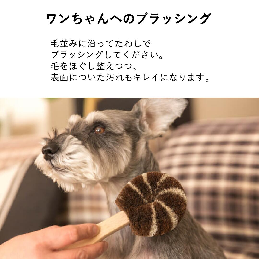 北山正積商店 ワンちゃんブラシ(大型犬用)