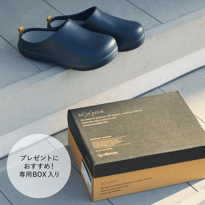 FRONTIER bi×sole