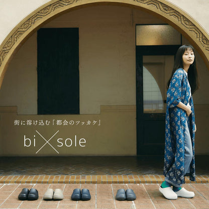 FRONTIER bi×sole