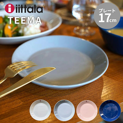 iittala TEEMA / plate 17cm